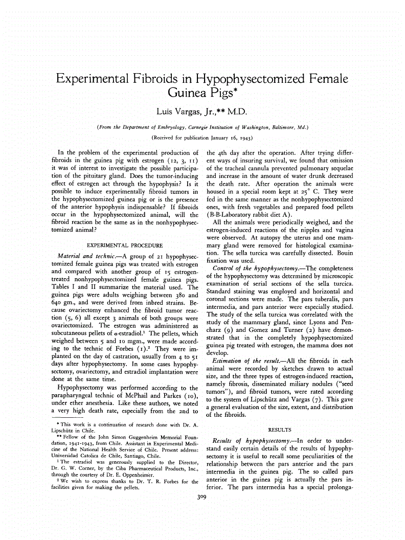First page of Experimental Fibroids in Hypophysectomized Female Guinea Pigs<xref rid="FN1" ref-type="fn"><sup>*</sup></xref>