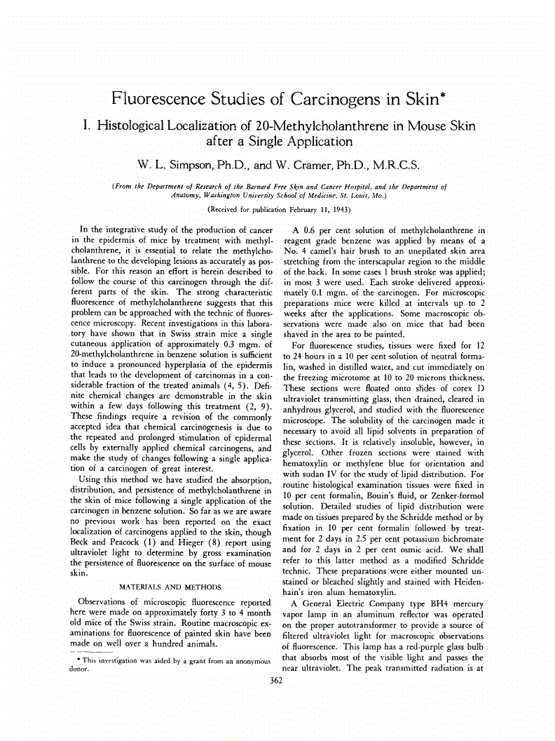 First page of Fluorescence Studies of Carcinogens in Skin<xref rid="FN1" ref-type="fn"><sup>*</sup></xref> I. Histological Localization of 20-Methylcholanthrene in Mouse Skin after a Single Application