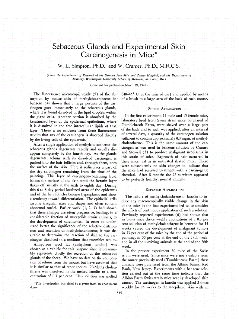 First page of Sebaceous Glands and Experimental Skin Carcinogenesis in Mice<xref rid="FN1" ref-type="fn"><sup>*</sup></xref>