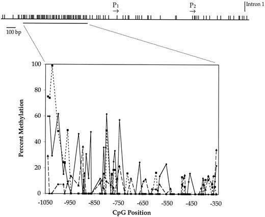 Fig. 2. Methylation within the CpG island core in the TGF-β3 promoter. The locations of CpGs within the genomic region encompassing TGF-β3’s two promoters and first exon are indicated by hatch marks above the linear representation of genomic DNA, and the region within the core of the CpG island investigated by DNA sequence analysis of bisulfite-treated DNA is indicated by the line below. Graphically represented is the percentage methylation at each CpG site within this region observed in DNA from HT1080 cells (•), SKBR-3 cells (▪), and T47-D cells (▴). Data points, average of multiple sequence determinations for each CpG site for each cell line (n = 4–20).