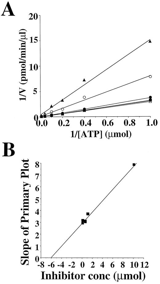 Fig. 2. Characterization of the inhibition of DNA-PK activity by LY294002. A, Lineweaver-Burk plot of the inhibition of DNA-PK activity with LY294002. Inhibition was performed with 0 μm (Δ), 0.01 μm (▪), 0.1 μm (□), 1 μm (•), 10 μm (○), or 100 μm (▴) LY294002 in varying concentrations of ATP. B, Ki determination for LY294002. Slopes from the Lineweaver-Burk plots (A) were plotted against the concentration of LY294002. Intersection of the plot on the inhibitor concentration axis gives a Ki of 6 μm.