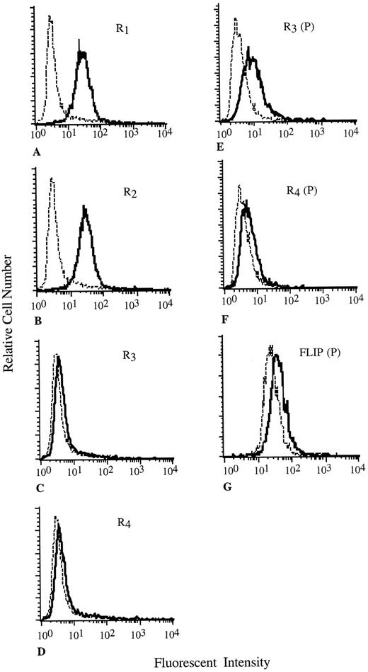 Fig. 3. Flow cytometric analysis of TRAIL-R expression on the Me4405 cell line. A–D, TRAIL-R1–R4 cell surface expression, respectively. E and F, TRAIL-R3 and -R4 expression, respectively, in permeabilized cells. G, FLIP expression within permeabilized Me4405 cells. - - - - -, isotype control histograms; ——, MAb.