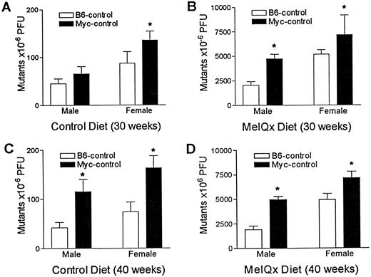 Fig. 2. LacZ gene mutant frequency in the liver of C57Bl/λlacZ and c-myc/λlacZ mice of both sexes who were given 0.06% MeIQx or control diet for 30 (A and B) and 40 (C and D) weeks is shown. Values are mean ± SE (n = 3). □, C57Bl/λlacZ; ▪, c-myc/λlacZ; An asterisk represents that lacZ gene mutant frequency in C57Bl/λlacZ and c-myc/λlacZ mice is significantly different (Student’s t test, P < 0.05). PFU, plaque-forming units.