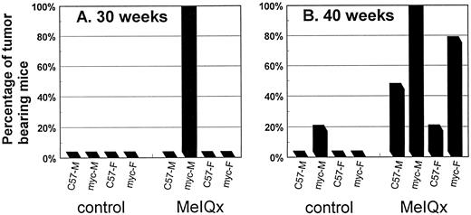 Fig. 3. Incidence of grossly visible liver tumors in C57Bl/λlacZ and c-myc/λlacZ mice who were given 0.06% MeIQx containing diet for 30 (A) and 40 (B) weeks is shown. Values are the percentage of tumor-bearing mice out of n = 3–4 and n = 10–13 for 30 and 40 weeks, respectively. Tumors were classified as hepatocellular carcinomas. M, male; F, female.