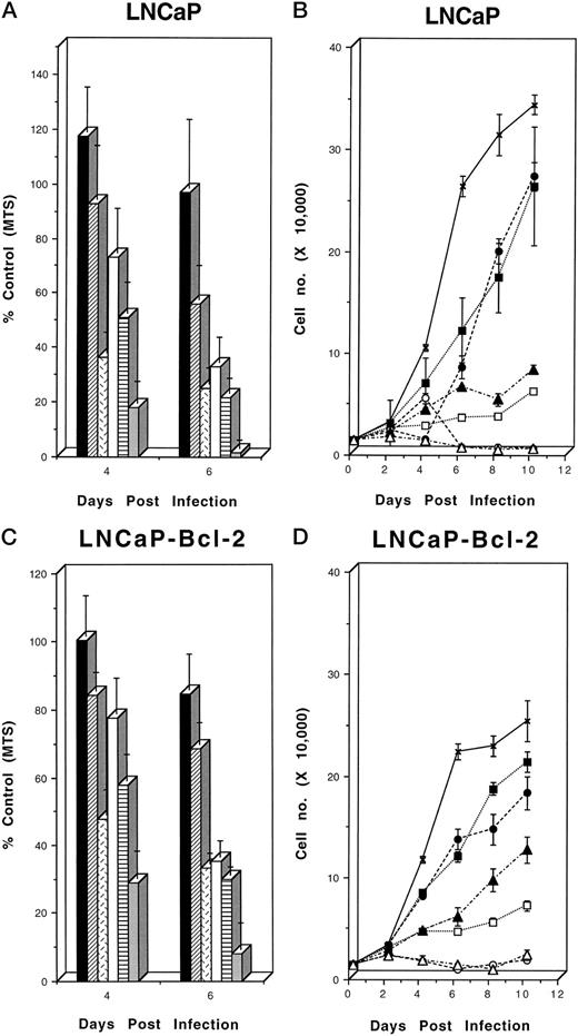 Fig. 2. Effect of MMAC/PTEN and p53 on cell growth. A, MTS cell proliferation assay of LNCaP cells 4 days and 6 days after infection with control adenovirus Ad-DE1 (▪, 5 MOI; □, 25 MOI), Ad-p53 (▨, 5 MOI; , 25 MOI), or Ad-MMAC (, 5 MOI; , 25 MOI). Data are presented as a percentage of MTS value of mock-infected LNCaP cells. Columns, means of five replicate samples; bars, SD. B, cell number of LNCaP cells mock infected (line with Xs) or infected with Ad-DE1 (▪, 5 MOI; □, 25 MOI), Ad-p53 (•, 5 MOI; ○,25 MOI), or Ad-MMAC (▴, 5 MOI; ▵, 25 MOI). C, MTS assay of LNCaP-Bcl-2 cells 4 days and 6 days after infection; labels same as in A. D, cell number of LNCaP-Bcl-2 cells; labels same as in B.