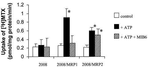 Fig. 1. Uptake of [3H]MTX into inside-out plasma membrane vesicles. Inverted vesicles were prepared from 2008, 2008/MRP1 and 2008/MRP2 cells. Uptake of [3H]MTX (0.1 μm) was measured in the absence of ATP (□), in the presence of 1 mm ATP (▪), and in the presence of 1 mm ATP and the MRP1-specific monoclonal antibody, MIB6 (10 μg/ml; ▨). Columns, means of at least three independent experiments; bars, sd. *, statistically significant difference from 2008 cells (P < 0.05).