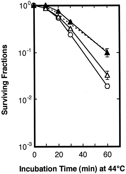 Fig. 6. Thermosensitivity of A-172 cells in the conditioned media of A-172/mp53 cells. The thermosensitivity of A-172 cells was analyzed in control growth medium (○), in the conditioned medium by preculture of A-172/mp53 cells at 37°C for 10 h (▵), and in the conditioned medium by preculture of A-172/mp53 cells at 37°C for 10 h after heating at 44°C for 15 min (•) by a colony formation assay. ----, thermosensitivity of thermotolerant A-172 cells prepared by preculture at 37°C for 10 h after heating at 44°C for 15 min.