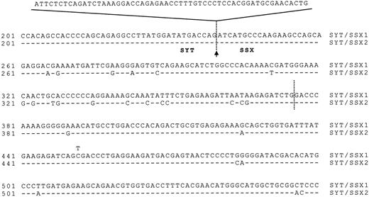 Fig. 2. Alignment of sequenced SYT-SSX1 and SYT-SSX2 fusion transcripts. Cases 23–33 exactly matched the sequence of SYT-SSX1 (GenBank S79325). Cases 1–19 exactly matched with the sequence of SYT-SSX2 (GenBank S79332). In cases 21 and 22, a variant representing a SYT-SSX1 polymorphism (C→T) at position 452 was found. Top, the 57-bp insertion of the variant SYT-SSX2 (case 20). Arrow, the fusion point between SYT and SSX. Exon 5 of the SSX gene is shown between vertical dashed lines.