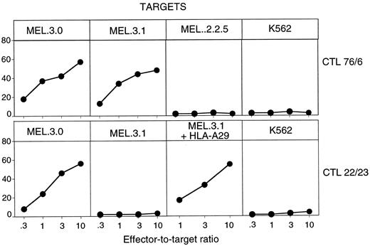 Fig. 8. Lysis of melanoma sublines of patient MZ2 by autologous CTL clones. Tumor cells were 51Cr-labeled and incubated with 76/6 or 22/23 CTLs at various effector-to-target ratios. Chromium release was measured after 4 h. MZ2-MEL.F− is an antigen-loss variant obtained by immunoselection with 76/6 CTLs, which had lost expression of HLA-Cw6. MZ2-MEL.3.1+HLA-A29 was obtained by stable transfection of subline MZ2-MEL.3.1 with cDNA of HLA-A29 cloned in pcDNAI/Amp.