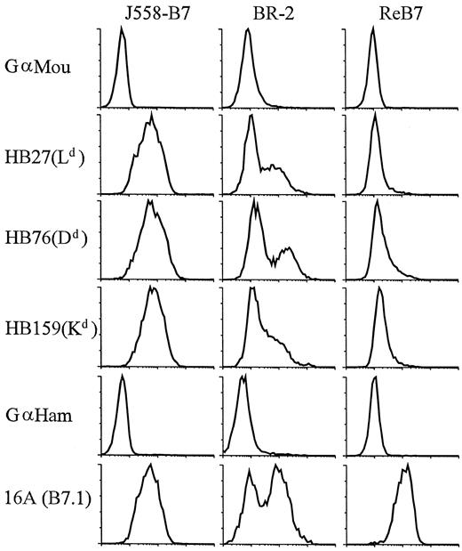 Fig. 4. Recurrent tumor BR-2 is heterogeneous in the expression of MHC class I and costimulatory molecule B7-1. Single-cell suspension from BR-2 tumor was cultured overnight, and tumor cells were gated based on the scatter (5) and analyzed by single-color flow cytometry with either anti-B7-1 or anti-MHC class I mAbs. Unconjugated mAbs were used as primary antibodies, and FITC-labeled goat antimouse immunoglobulin (GαMou) or goat antihamster immunoglobulin (GαHam) was used as a second-step reagent. J558-B7 and ReB7 were used as controls.