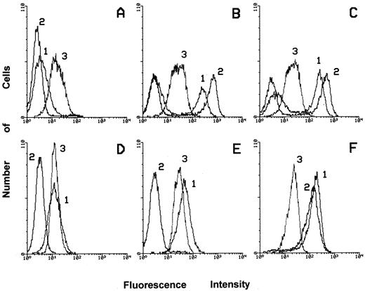 Fig. 4. Flow cytometric analysis of CD45, CD14, and CD11b expression in Kasumi-1 and HL-60 cells treated with ATRA or VD for 5 days or left untreated. Peak 1 corresponds to the expression of CD11b, peak 2 corresponds to the expression of CD14, and peak 3 corresponds to the expression of CD45. The expression of the markers listed above has been evaluated in proliferating Kasumi-1 cells (A) and in Kasumi-1 cells treated with ATRA (B) or VD (C), in proliferating HL-60 cells (D), and in HL-60 cells treated with ATRA (E) or VD (F).