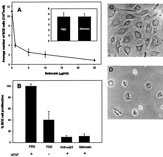 Fig. 2. Inhibition of BCE cell proliferation. BCE cells were treated with recombinant salmosin for 72 h in the presence of 1 ng/ml bFGF. The bFGF-induced proliferation assay was carried out depending on salmosin concentration (A). The normal bFGF-free cells were treated with 20 μg/ml salmosin, and proliferation was compared with that in PBS-treated controls (insert). The inhibition of the bFGF-induced proliferation was analyzed in the presence of 5 μg/ml anti-αvβ3 monoclonal antibody or 5 μg/ml salmosin (B). Microscopic observation of bFGF-induced BCE cell (C) treated with salmosin (D).