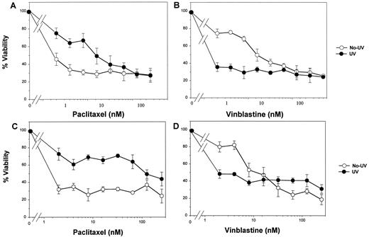 Fig. 5. Effect of UV irradiation on the sensitivity to microtubule-active drugs in human cancer cells with endogenous wild-type p53. PA-1 human ovarian cancer cells (A and B) and LnCAP human prostate cancer cells (C and D) were UV-irradiated at 10 J/m2. Twenty-four h following irradiation, cells were exposed to various concentrations of paclitaxel or vinblastine and assayed for cell viability by the MTT assay as described in “Materials and Methods.” Data points, means from three separate experiments; bars, SD.