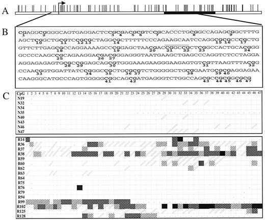 Fig. 4. Methylation map of the p15 gene. A, CpG plot of the 5′ region. The black box shows the start of the coding sequence, and the arrow shows the start of transcription. B, sequence of the CpG island that was analyzed from bases 118–528 (accession number S75756). CpG dinucleotides are in bold and numbered below each site. The HpaII sites are underlined, and the NotI site is shown by a dotted line above the sequence. C, methylation maps derived from direct PCR sequencing analysis for normal and leukemic samples. Symbols are the same as Fig. 1<$REFLINK>.