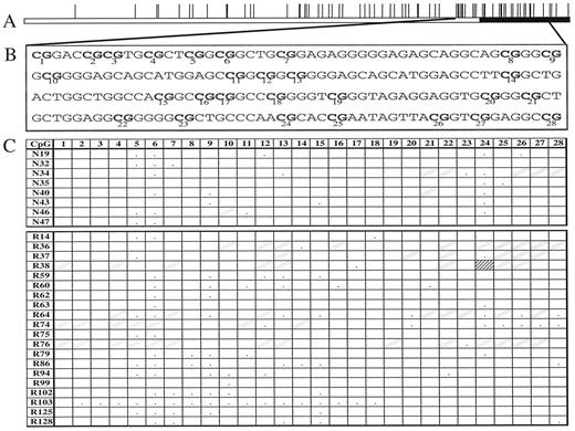 Fig. 5. Methylation map of the p16 gene. A, CpG plot of the 5′ region. The black box represents the start of the coding sequence. B, sequence of the CpG island that was analyzed from bases 41–248 (accession number U12818). CpG dinucleotides are in bold and numbered below each site. The HpaII sites are underlined. C, methylation maps derived from direct PCR sequencing analysis for normal and leukemic samples. Symbols are the same as Fig. 1<$REFLINK>.