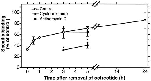 Fig. 3. In vitro kinetic of sst 2 reappearance after down-regulation. AR4-2J cells were pretreated for 16 h with 100 nm octreotide. After washing off octreotide, the cells were incubated in the absence or presence of cycloheximide or actinomycin D for various periods of time. The time course of reappearance of sst 2 to the cell surface was then monitored by binding experiments using [125I][Tyr 3]-octreotide. Each point represents the mean ± SE (n = 3–10). *, P < 0.05 versus corresponding controls.