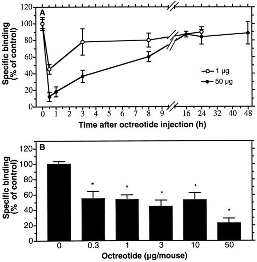 Fig. 4. Dose dependence and time course of sst 2 down-regulation in vivo after a single injection of octreotide. AR4-2J tumor-implanted scid mice were injected i.v. with a single dose of octreotide or NaCl as control and sst 2 expression was monitored on tumor plasma membrane preparations by binding experiments using [125I][Tyr3]-octreotide. A, time course of sst 2 regulation after application of either 1 μg or 50 μg octreotide. B, dose dependence of sst 2 regulation; sst 2 expression was monitored 0.5 h after octreotide injection; *, P < 0.05 versus untreated mice. Each point represents the mean ± SE (n = 3–18).