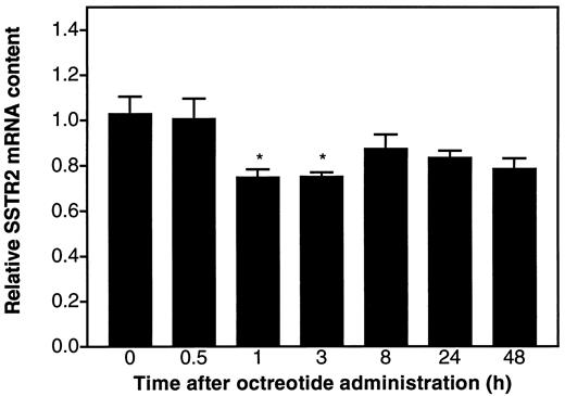 Fig. 5. In vivo time course of sst 2 mRNA regulation after a single injection of octreotide. AR4-2J tumor-implanted scid mice received i.v. injections of a single dose of 50 μg of octreotide. Control mice received NaCl. After various periods of time, the mice were sacrificed and sst 2 mRNA was quantified by a quantitative PCR protocol. Results are expressed as mean ± SE (n = 5). *, P < 0.01 versus untreated mice.