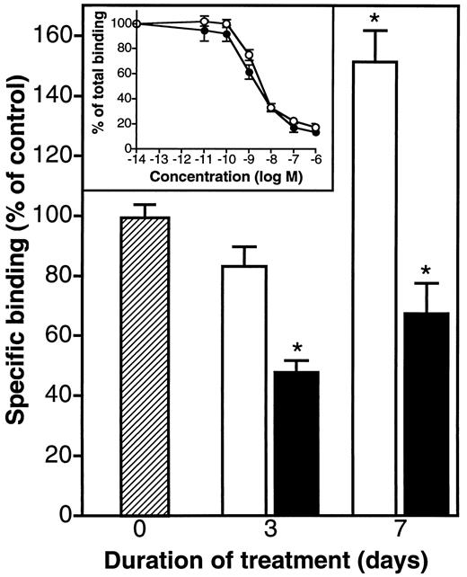 Fig. 6. In vivo time course of sst 2 regulation after a continuous release of octreotide. AR4-2J tumor-bearing scid mice were implanted s.c. with osmotic minipumps containing octreotide to ensure a continuous release of 0.5 μg of octreotide/day (□) or received s.c. injections twice-daily of 0.25 μg of octreotide (▪). ▨, mice treated with vehicle. After 3 or 7 days, the mice were sacrificed and sst 2 expression was monitored on plasma membrane preparations by binding experiments using [125I][Tyr 3]-octreotide. Results are expressed as mean ± SE (n = 13 for untreated mice and n = 5–6 for treated mice). *, P < 0.05 versus untreated mice. Inset, competitive binding curves obtained with plasma membrane preparations from control (○) and 7-day continuously treated mice (•).