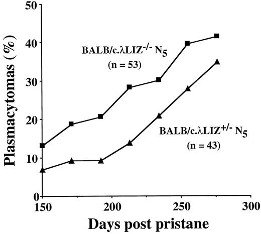 Fig. 1. Time course of plasmacytoma development in BALB/c.λLIZ N5 mice. The total tumor incidences at day 276 postpristane were compared between transgenic λLIZ+/− mice and nontransgenic λLIZ−/− mice by 2 × 2 χ2 analysis. No significant difference was found (P = 0.507). However, the inspection of the time course of tumor development suggested an apparent delay in tumorigenesis in the λLIZ+/− group of mice, which was particularly manifest in the 150-to-213-day interval postpristane (the first four data points in the tumor incidence curves). This delay, which resulted in a significant difference when Wilcoxon’s signed rank test was used to compare the incidence curves in λLIZ+/− and λLIZ−/− mice (P = 0.018), may have been caused by the presence of Chr 4-derived C57BL/6 alleles in the vicinity of the transgenic integration site on Chr 4 in the λLIZ+/− strain. Strain C57BL/6 is known to be resistant to pristane-induced plasma cell tumor development and may carry resistance genes in that region on Chr 4 (12).