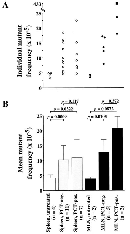 Fig. 2. Mutant frequencies in individual mice (A) and mean mutant frequencies in groups of mice (B) determined in the spleen and mesenteric lymph node (MLN) of congenic BALB/c.λLIZ+/− N5 mice. Three groups of mice were compared: pristane-treated mice that developed a peritoneal plasmacytoma (PCT-pos.); pristane-treated mice that did not develop plasmacytoma (PCT-neg.); and age-matched controls that were not treated with the plasmacytoma-inducing agent pristane (untreated). Brackets on top of B labeled with the probability levels, the results of the statistical comparison of mean mutant rates performed with the two-tailed t test using the Statview software (Abacus Concepts, Berkeley, CA). One data point (▪, upper right hand corner of A)—the mutant level observed in the mesenteric lymph node of a plasmacytoma-bearing mouse (mouse 5)—was excluded from statistical analysis because it reflected an outlier with the unusually high mutant frequency of 433 × 10−5.