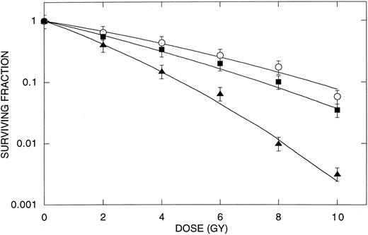 Fig. 2. Radiation survival curves for RIF-1 cells exposed for 96 h to different levels of BrdUrd in the medium. ○, control; ▪, 10-5 m BrdUrd; ▴, 10-4 m BrdUrd. Bars, SD.