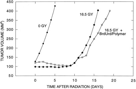 Fig. 4. Tumor volume after acute radiation exposure. ▪, 0 Gy; ♦, 16.5 Gy; □, 16.5 Gy + BrdUrd/polymer implanted 3 days before irradiation.