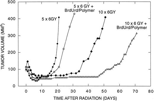 Fig. 5. Tumor volume after treatment with fractionated radiation. •, 5 × 6 Gy; □, 5 × 6 Gy + BrdUrd/polymer; ♦,10 × 6 Gy; ⋄, 10 × 6 Gy + polymer/BrdUrd. Polymers were implanted 3 days before the first radiation fraction. Experimental groups consisted of five to eight mice. SDs of the mean volumes, which were calculated for each time interval, did not exceed 10% of the mean. Error bars are omitted for clarity.