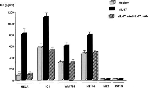 Fig. 1. Effect of hIL-17 on the secretion of IL-6 by different tumor cell lines. A total of 106 human cervical carcinoma cells (HeLa or IC1) or melanoma cells (WM793, HT144, MZ2, or 1341D) were added per well in a 24-well plate and stimulated with rhIL-17 (100 ng/ml; ▪), a mixture of hIL-17 (100 ng/ml) preincubated for 30 min at 37°C with 1 μg/ml neutralizing anti-hIL-17 mAb 5 (▨), or culture medium alone (). After 24 h, culture supernatants were harvested and tested for IL-6 concentrations using a commercially available ELISA. Results represent the mean ± SD of triplicate determinations from one representative experiment.