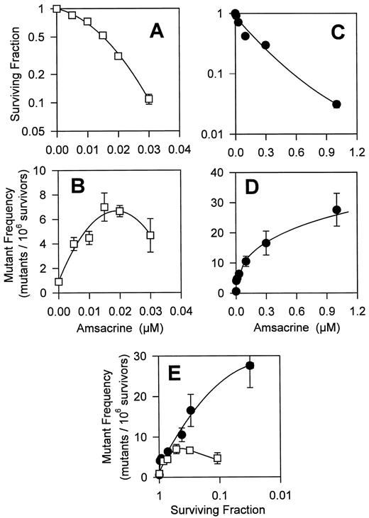 Fig. 1. Mutagenesis and cytotoxicity dose responses for CHO cells treated with m-AMSA in log phase (A and B) or in plateau phase (C and D). To compare the mutagenic effects at equitoxic doses, mutant frequency in log-phase (□) or plateau-phase (•) cells was plotted as a function of survival (E). For log-phase cells, each point is the average ± SE of data from 12–17 independent treated cultures, except for the 0 (n = 34) and 0.02 μ m (n = 27) doses, from a total of 17 experiments. For plateau-phase cells, 0 dose (n = 20) and all other doses (n = 10), from a total of 10 experiments.