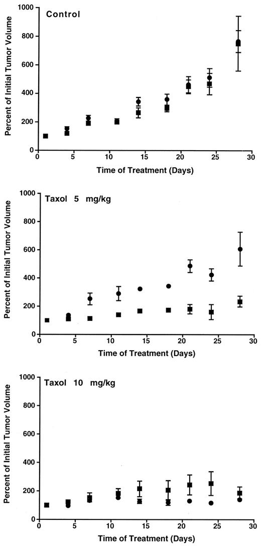Fig. 2. HCT116 p21−/− cells exhibit enhanced Taxol sensitivity in vivo. HCT116 p21+/+ and p21−/− cells were grown as xenograft tumors in athymic nude mice to a mean diameter of 200 mm3, and then mice were treated with either vehicle (Control), 5 mg/kg Taxol, or 10 mg/kg Taxol i.p. for 5 consecutive days/week for 3 weeks. Each treatment group represents a minimum of six mice, each with a s.c. xenograft tumor of HCT116 p21+/+ and p21−/− on opposite flanks. Data are plotted as the tumor volume relative to initial volume at day 1; Bars, SD. ▪, p21−/−; •, p21+/+.
