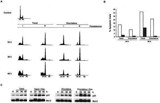 Fig. 6. Reversal of MTI-induced apoptosis in HIp21 cells after ectopic p21 expression. A, flow cytometric analysis of asynchronous cultures of HIp21 cells treated with the MTIs Taxol (100 nm) or vincristine (100 nm) in the presence or absence of ponasterone (10 μm). Data are representative of three independent experiments. B, after treatment, HIp21 cells were stained with DAPI, and 500 cells were counted to determine the apoptotic index. □, control; ▨, ponasterone. C, Western analysis of p21 and Bcl-2 proteins from MTI-treated HIp21 cells. Asynchronous cells were treated with either Taxol (100 nm) or vincristine (100 nm) in the presence or absence of ponasterone (10 μm) for the indicated times, and protein was harvested. Results are representative of three independent experiments.