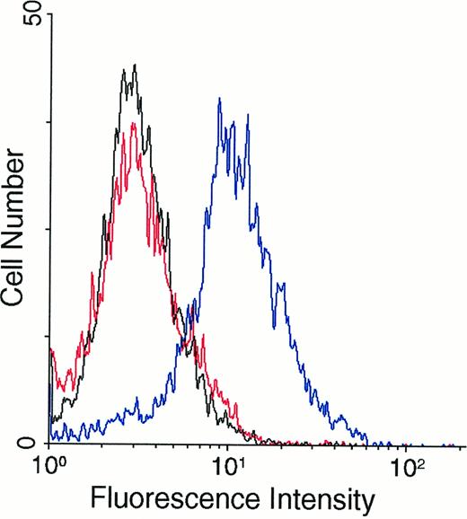 Fig. 7. Competitive binding analysis of murine anti-NB-p260 IgG and human anti-NB IgM. Shown is the binding to LA-N-1 cells of murine anti NB-p260 IgG (blue line) and of murine preimmune IgG (black line) as analyzed by cytofluorometry. Pretreatment of the NB cells with purified human anti-NB IgM reduced the binding of murine anti-NB-p260 IgG to background values obtained with murine preimmune IgG (red line).