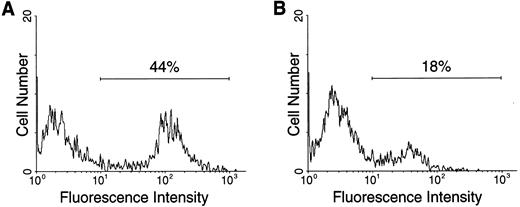 Fig. 8. Effect of preincubation of NB cells with murine preimmune IgG (A) and murine anti-NB-p260 IgG (B) on anti-NB IgM-mediated apoptosis. The degree of apoptosis was measured by binding of the APO2.7 antibody to permeabilized LA-N-1 cells as determined in the cytofluorometer.