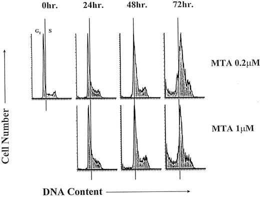 Fig. 2. DNA content histograms of HT29 cells treated with MTA. Cells were plated for ∼36 h before the addition of drug. MTA was added (0.2 or 1.0 μ m), and DNA content was measured at the indicated times as described in “Materials and Methods.” Data from a representative experiment are shown here. A vertical line has been drawn through each histogram at the approximate resolution between G1 and S-phase DNA content.