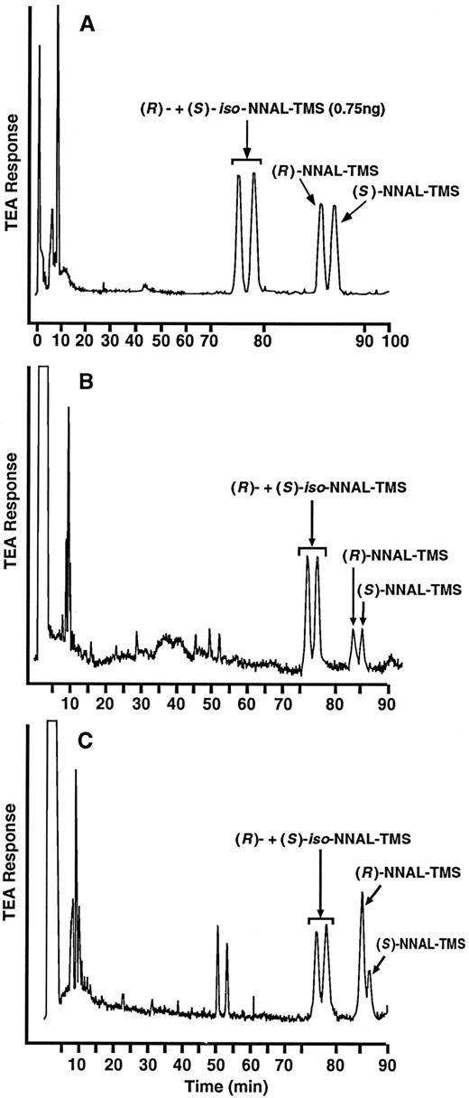 Fig. 2. CSP-GC-TEA chromatograms of: A, standard racemic iso-NNAL (internal standard), (R)-NNAL, and (S)-NNAL as their trimethylsilyl (TMS) ether derivatives; B, NNAL fraction of a smoker’s urine; C, NNAL-Gluc fraction of a smoker’s urine.