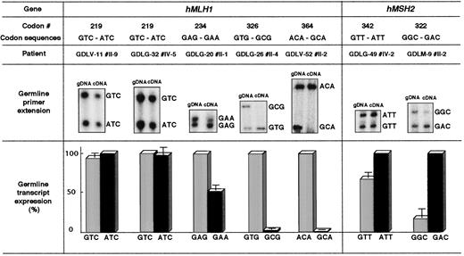 Fig. 2. Analysis of hMLH1 or hMSH2 transcripts by primer extension. Regions of hMLH1 or hMSH2 bearing polymorphic allele markers were amplified using matched cDNAs and gDNAs derived from PBLs. These templates were used for primer extensions in the presence of a 32P-oligonucleotide and the appropriate ddNTP, as described in “Materials and Methods.” Top, polymorphic codon sequences used as allele markers; middle, examples of primer extensions using gDNA and cDNA templates derived from patients GDLV-11#II-9, GDLG-32#IV-5, GDLG-20#II-1, GDLG-26#II-4, GDLV-52#II-2, GDLG-49#IV-2, and GDLM-9#II-2, respectively; bottom, histogram showing the relative expression of transcripts from alleles identified using polymorphic markers. Data represented are the mean ± SE of two to four independent determinations, obtained by comparing primer extension signals derived from gDNA and cDNA.