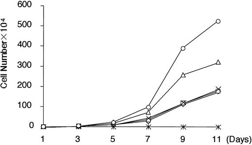 Fig. 4. Growth curves of L and l-MT cells in medium with or without doxycycline and in different concentrations of serum. ○, L-MT Dox(−) (10%); ▵, L-MT Dox(−) (2%); *, L-MT Dox(−) (0%); □, L-MT Dox(+) (2%); ⋄, L cells Dox(−) (2%); X, L cells Dox(+) (2%).