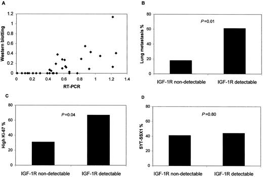 Fig. 3. A, association of Western blot and RT-PCR data. B, association of IGF-1R with lung metastases. C, association of IGF-1R with high-level Ki-67. D, association of IGF-1R with the SYT-SSX1 fusion gene.