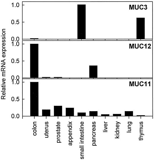 Fig. 5. mRNA tissue distribution of the 7q22 mucin gene family. Only those tissues showing a positive signal by Northern blot analysis are represented in the histogram. Sixteen tissues of neural origin, heart, aorta, skeletal muscle, bladder, stomach, testis, ovary, spleen, pituitary gland, adrenal gland, thyroid gland, salivary gland, and mammary gland were negative for mucin mRNA expression. Expression was quantified by densitometry and is shown as a proportion of the tissue showing highest expression.
