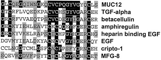 Fig. 7. Alignment of the first extracellular EGF-like domain of MUC12 with human EGF-like growth factors. Dark shading, identical amino acids; light shading, conservative amino acid substitutions.