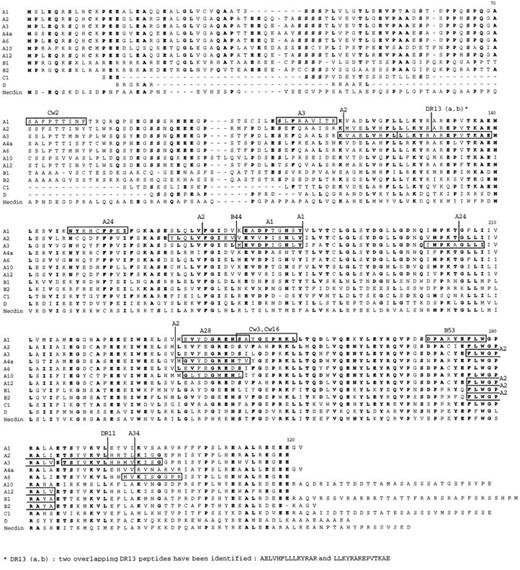 Fig. 4. Representation of all known MAGE antigenic peptides on an alignment of MAGE and necdin proteins. The peptides are boxed, and their presenting HLA molecule is indicated (top). The protein sequences that were used to generate the multiple alignment comprise all MAGE-A and MAGE-B proteins that code for known antigenic peptides, protein MAGE-C1, taken as a representative of the MAGE-C proteins, protein MAGE-D, and human necdin. For proteins MAGE-A10, MAGE-C1, and MAGE-D, the parts that were not homologous to the other MAGE proteins or to necdin were not represented. For MAGE-C1, the part that is represented is the COOH terminus of the protein, from amino acid 798 to the end. For MAGE-D, the sequence represented corresponds to the central part of the protein, between amino acids 251 and 493. For MAGE-A10, the sequence represented was obtained by removing amino acids 41–60.