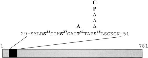 Fig. 2. Schematic representation of the location of β-catenin mutations in WTs. Boldface type, residues representing potential GSK-3β phosphorylation sites at codons 33, 37, 41, and 45. Amino acid substitutions are indicated above. Δ, deleted codon 45.