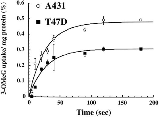 Fig. 5. Initial transport rates of 3-OMeG in A431 and T47D cells. Uptake of 3-OMeG rapidly reaches equilibrium in both cell lines. Initial rates are higher in A431 cells (n ≥3 per time point; bars, SD).