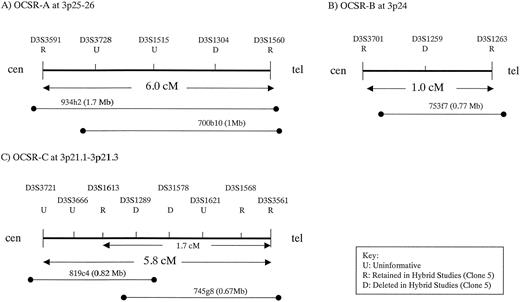 Fig. 3. Genetic and physical mapping of the regions of interest implicated in the MMCT study. An approximate genetic distance (in cM) is given between the retained loci on either side of each region. Overlapping YACs, horizontal lines below the genetic map. The name of each YAC is followed in brackets by the physical size of the YAC (in Mb). R, L, and U, retained, lost, and uninformative loci, respectively.