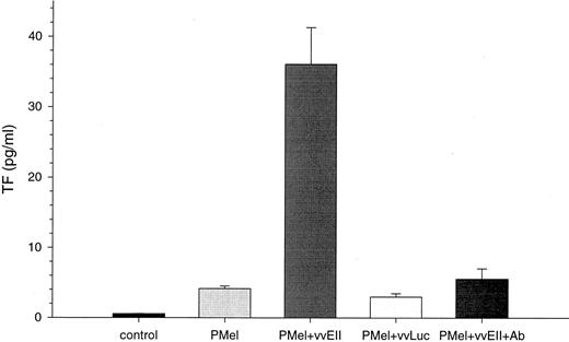 Fig. 1. Tissue factor expression of HUVECs in vitro after treatment with conditioned medium from tumor cells infected with vvEMAP. HUVECs were treated with medium conditioned by melanoma cells infected with viral vectors. Transfection of Pmel with vvEMAP yields functional EMAP-II production, indicated by the 8-fold increased induction of tissue factor in HUVECs as compared with untransfected Pmel (P < 0.001) or cells transfected with vector control alone (vvLuc). Blocking of EMAP-II with specific anti-EMAP-II antibody abrogates this effect (nonsignificant P versus Pmel; P < 0.01 versus Pmel plus vvEMAP).