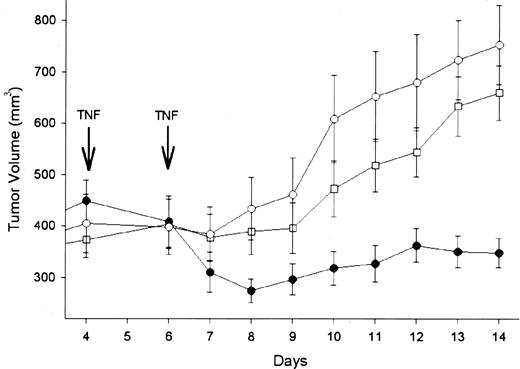 Fig. 3. Tumor volumes after pretreatment with vectors and TNF-α treatment. At day 0, tumor bearing mice were systemically injected either with vvEMAP, vvLuc, or PBS (106 pfu). Systemic TNF-α treatment was administered at days 4 and 6. Data points, mean tumor volumes; bars, SD. Tumors in the vvEMAP pretreated group (•, n = 15) showed significant regression and growth inhibition (day 7, P < 0.05 versus controls; days 8 and 9, P < 0.01; days 10–12, P < 0.001; and days 13 and 14, P < 0.0001). There was no significant difference between vvLuc-pretreated tumors (□, n = 15) and PBS treated controls (○, n = 15).
