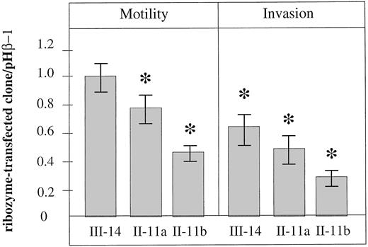 Fig. 3. In vitro motility and invasion of anti-S100A4 ribozyme-transfected osteosarcoma cells (III-14, II-11a, II-11b). The cells were grown as described in “Materials and Methods.” The ratios between control cells (pHβ-1) and ribozyme-transfected cells are given as mean values of n = 3 experiments, each with six parallel measurements. Bars indicate 95% confidence intervals. *, P < 0.05.