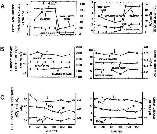 Fig. 3. The effects of melatonin (MLT) addition to whole blood perfusate on tumor uptake of total FA and LA from arterial blood and the release of 13-HODE into tumor venous blood were in a tissue-isolated hepatoma 7288CTC perfused in situ. Left, a tumor weighing 5 g was perfused in situ with blood. After collection of the 60-min sample, melatonin was added (65 min) to the reservoir of donor blood to a final concentration of 1 nm, and the perfusion was continued for an additional 95 min. Approximately 20 min were required for the melatonin-containing perfusate to reach the tumor from the reservoir. The perfusion profile depicted here represents 1 of 10 perfusions that yielded essentially identical results. Right, the effects of melatonin removal on tumor (5 g) uptake of total FAs and LA and 13-HODE release in hepatoma 7288CTC perfused in situ. The perfusion began with donor blood containing exogenous melatonin (1 nm). After collection of the 60-min sample, the arterial line was switched to a separate reservoir containing donor blood without exogenous melatonin. The perfusion was continued for an additional 95 min. Glucose, lactate, pH, pO2, pCO2, and flow rates were monitored in arterial and tumor venous blood throughout the perfusions. The whole blood perfusates in both experiments were collected during the early light phase (8:15–8:45 a.m.) from donor rats fasted for 48 h.