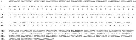 Fig. 4. Nucleotide sequence of com1 cDNA and the predicted amino acid sequence. The sequence numbers of the nucleotides and amino acids (shown in single-letter codes) are indicated on the left. The nucleotides shown in boldface type correspond to the sequence of the arbitrary primer (AP2). The polyadenylation signal is underlined. This sequence has been deposited in the GenBank database (accession no. AF135266).